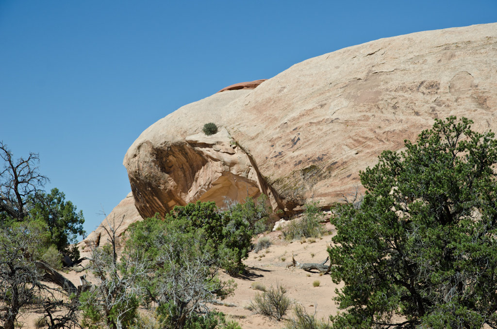 120609-173413-DSC_2555.jpg - Le LapinCanyonlands National ParkBij Moab9-6-2012