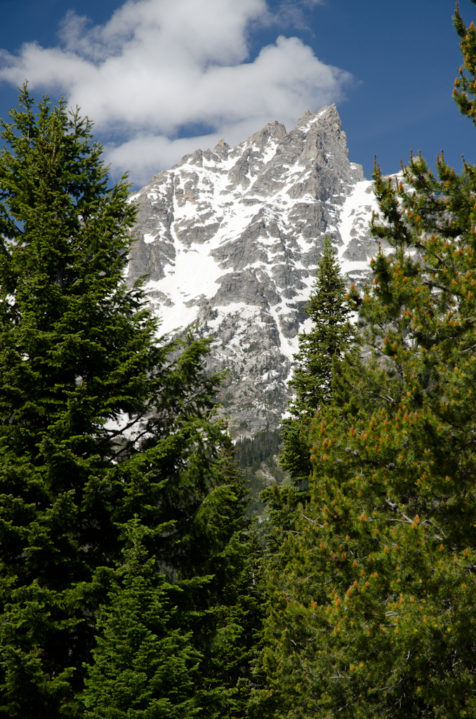 120613-173931-DSC_3194.jpg - Grand Teton National Park13-6-2012