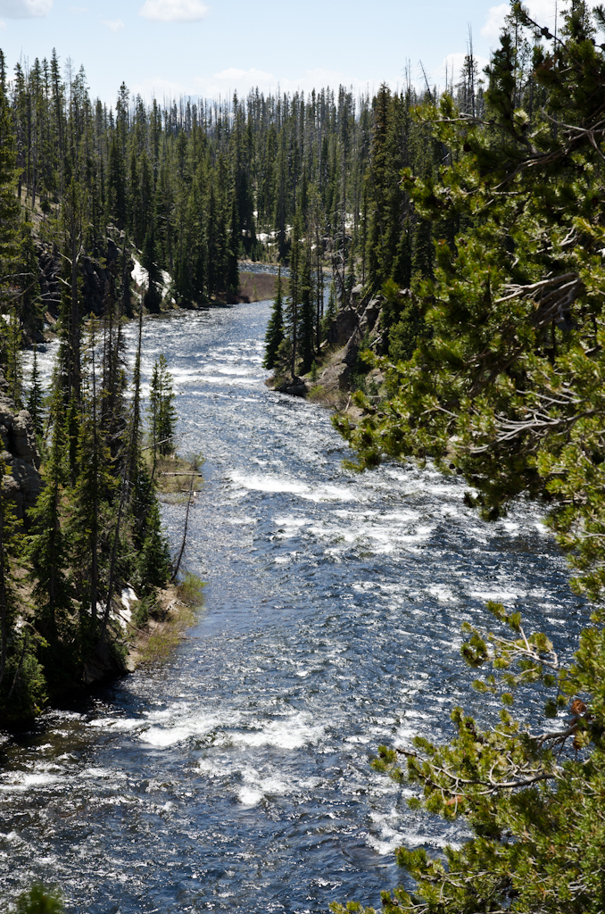 120613-200802-DSC_3281.jpg - Lewis River.Yellowstone National Park13-6-2012