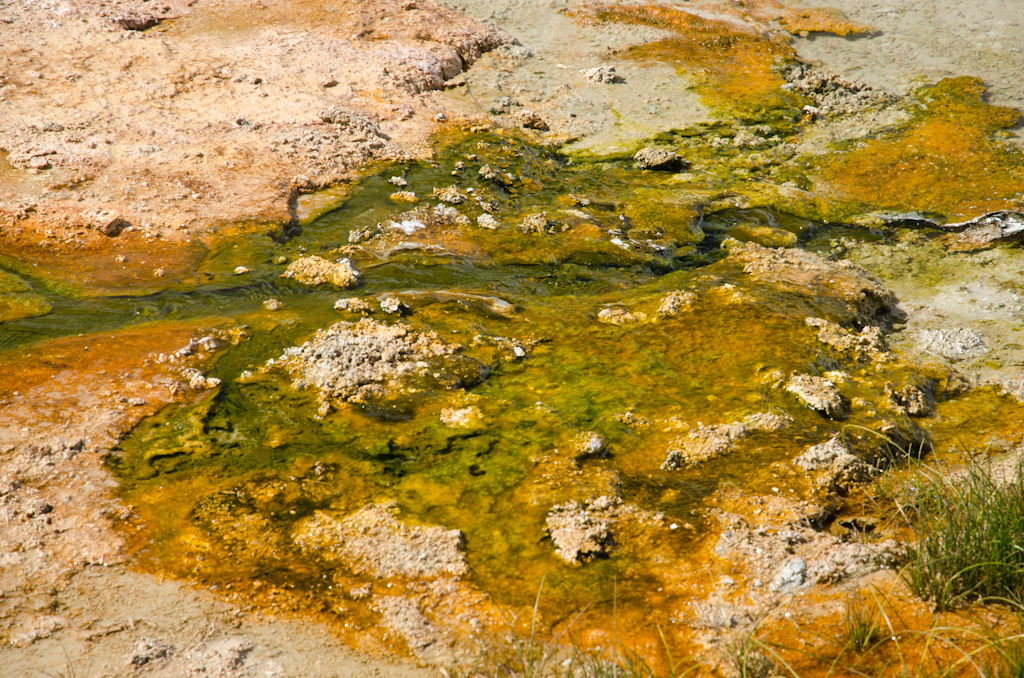 120613-230424-DSC_3466.jpg - Upper Geyser Basin.Yellowstone National Park13-6-2012