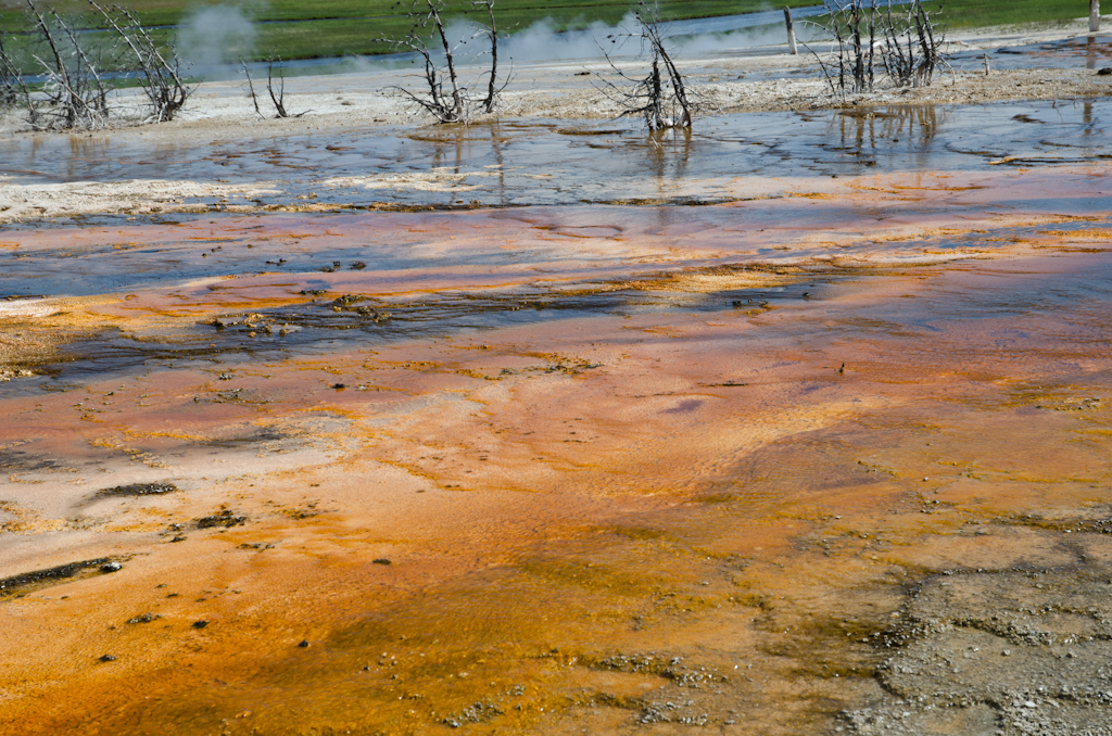 120613-230704-DSC_3473.jpg - Upper Geyser Basin.Yellowstone National Park13-6-2012