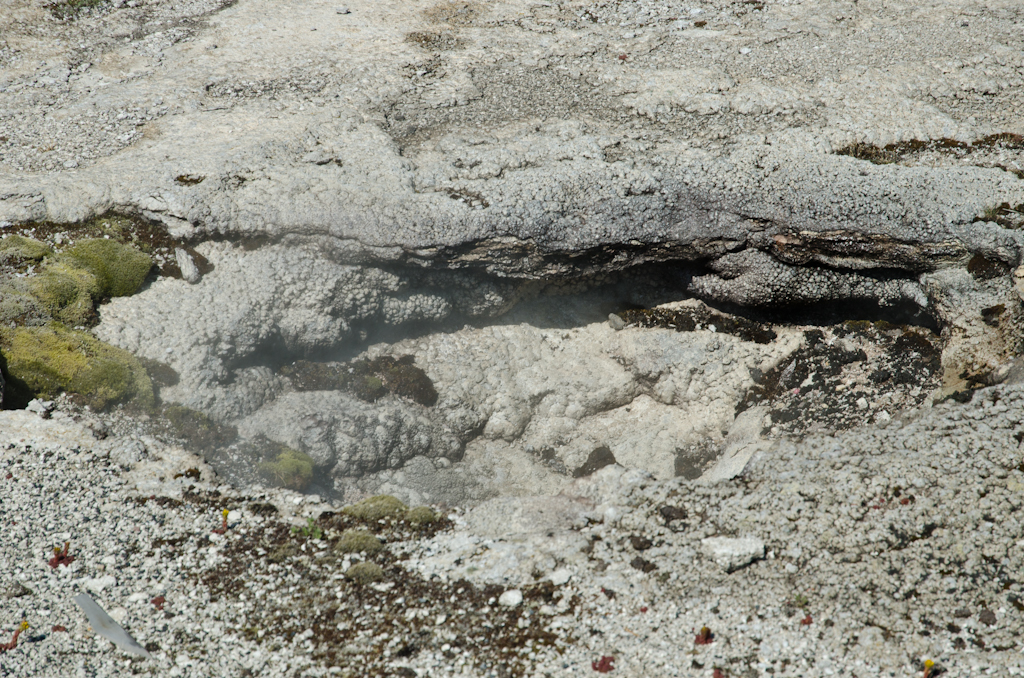 120613-231238-DSC_3485.jpg - Upper Geyser Basin.Yellowstone National Park13-6-2012