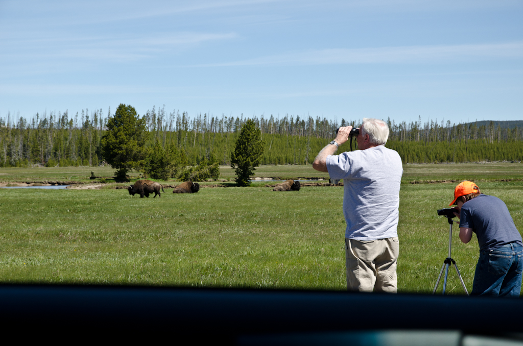 120614-180108-DSC_3721.jpg - Yellowstone National Park14-6-2012