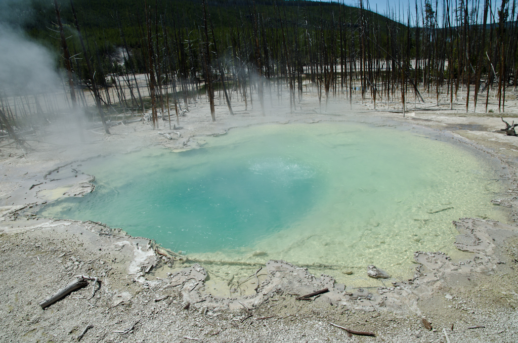 120614-183108-DSC_3755.jpg - Norris Geyser BasinYellowstone National Park14-6-2012