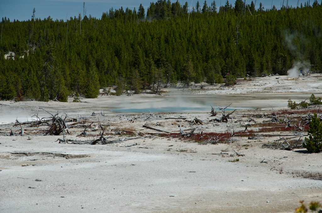 120614-185349-DSC_3790.jpg - Norris Geyser BasinYellowstone National Park14-6-2012