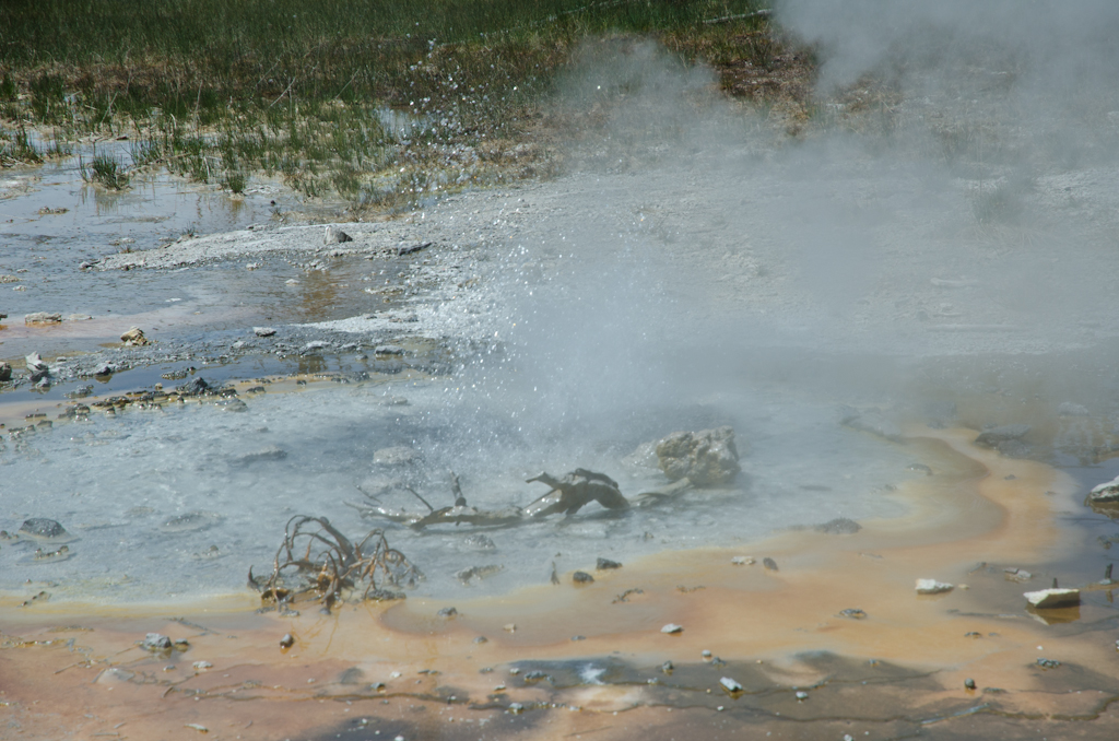 120614-190725-DSC_3810.jpg - Norris Geyser BasinYellowstone National Park14-6-2012