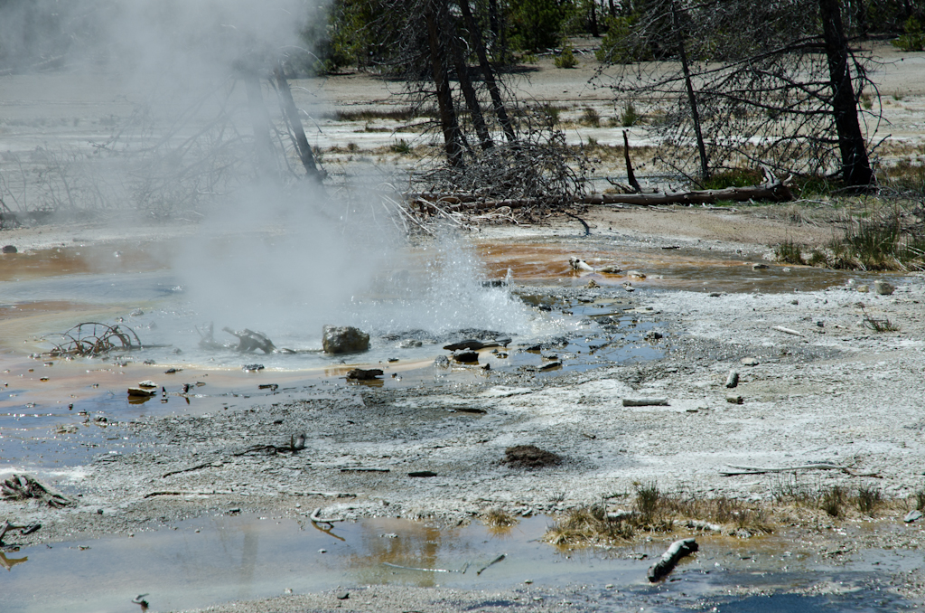 120614-190802-DSC_3816.jpg - Norris Geyser BasinYellowstone National Park14-6-2012