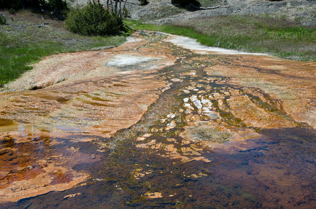 120614-202710-DSC_3836.jpg - Mammoth Hotsprings Upper terrace.Yellowstone National Park14-6-2012