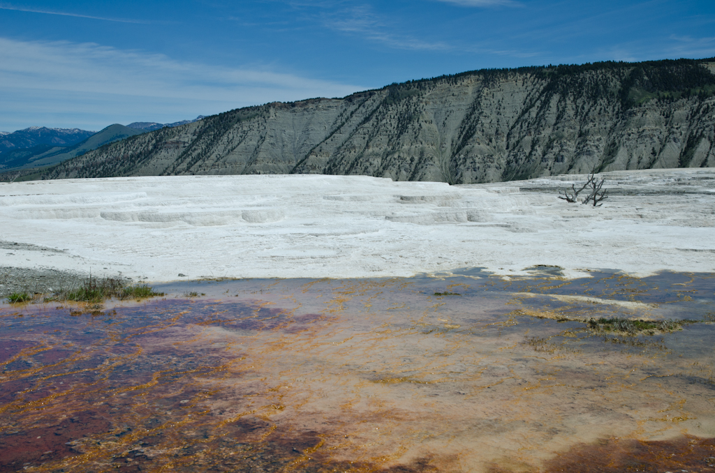 120614-202739-DSC_3838.jpg - Mammoth Hotsprings Upper terrace.Yellowstone National Park14-6-2012