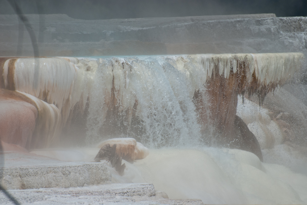 120614-203419-DSC_0668.jpg - Mammoth Hotsprings Upper terrace.Yellowstone National Park14-6-2012