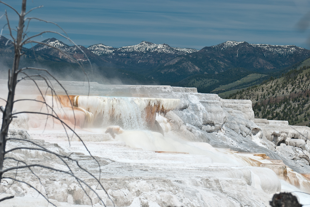 120614-203440-DSC_0675.jpg - Mammoth Hotsprings Upper terrace.Yellowstone National Park14-6-2012