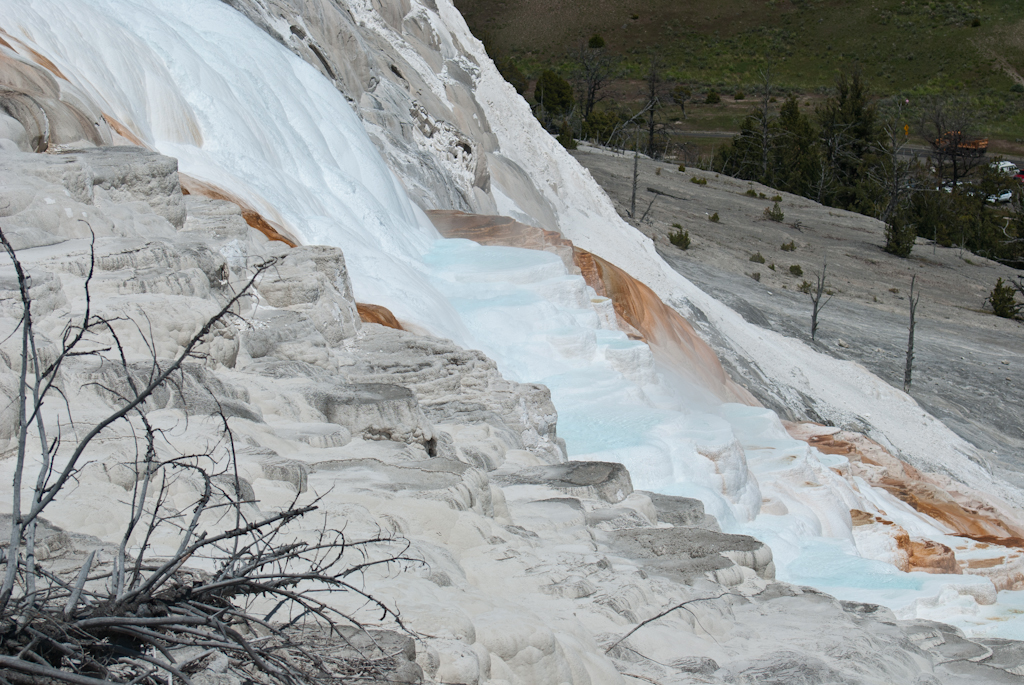 120614-203541-DSC_0682.jpg - Mammoth Hotsprings Upper terrace.Yellowstone National Park14-6-2012