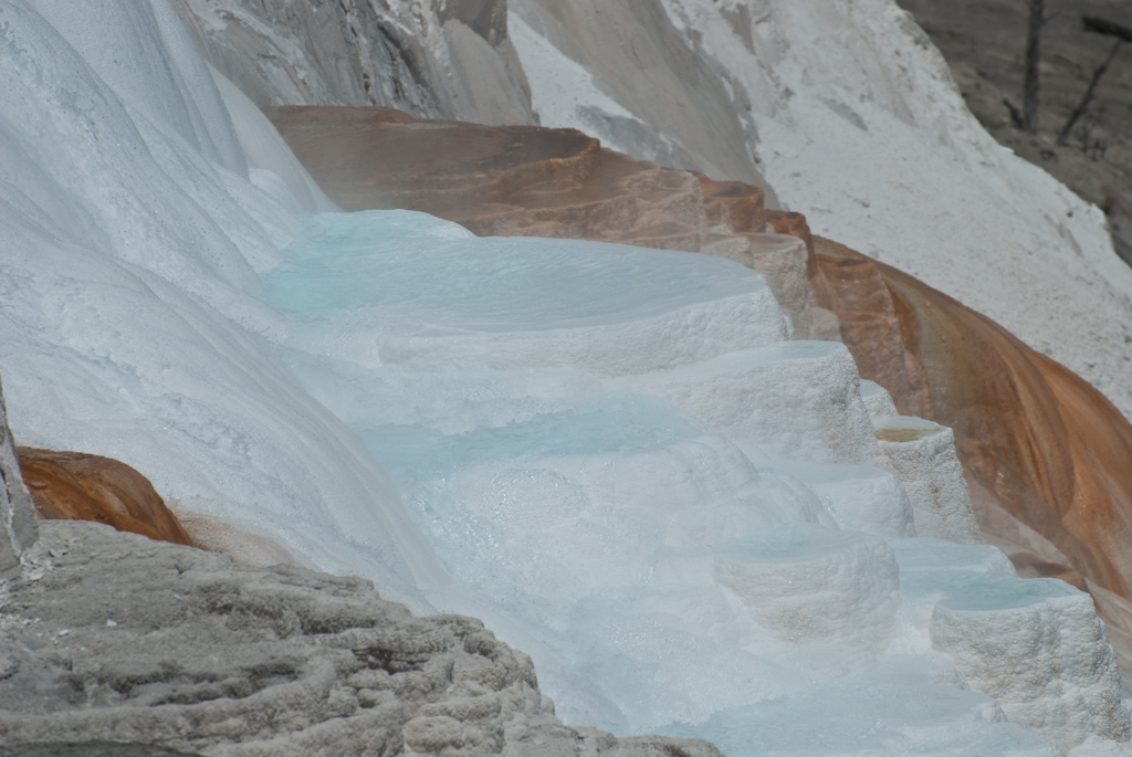 120614-203544-DSC_0683.jpg - Mammoth Hotsprings Upper terrace.Yellowstone National Park14-6-2012