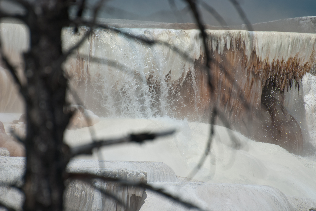 120614-203558-DSC_0685.jpg - Mammoth Hotsprings Upper terrace.Yellowstone National Park14-6-2012