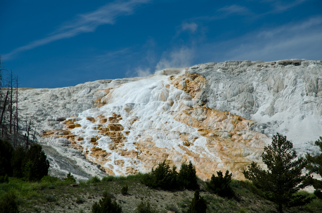 120614-210302-DSC_3872.jpg - Mammoth Hotsprings Lower terrace.Yellowstone National Park14-6-2012