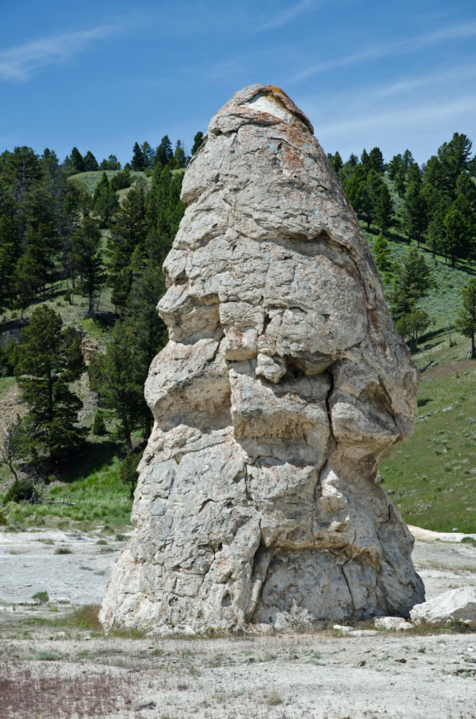 120614-210624-DSC_3873.jpg - Eenzame trouwe wachter.Mammoth Hotsprings Lower terrace.Yellowstone National Park14-6-2012