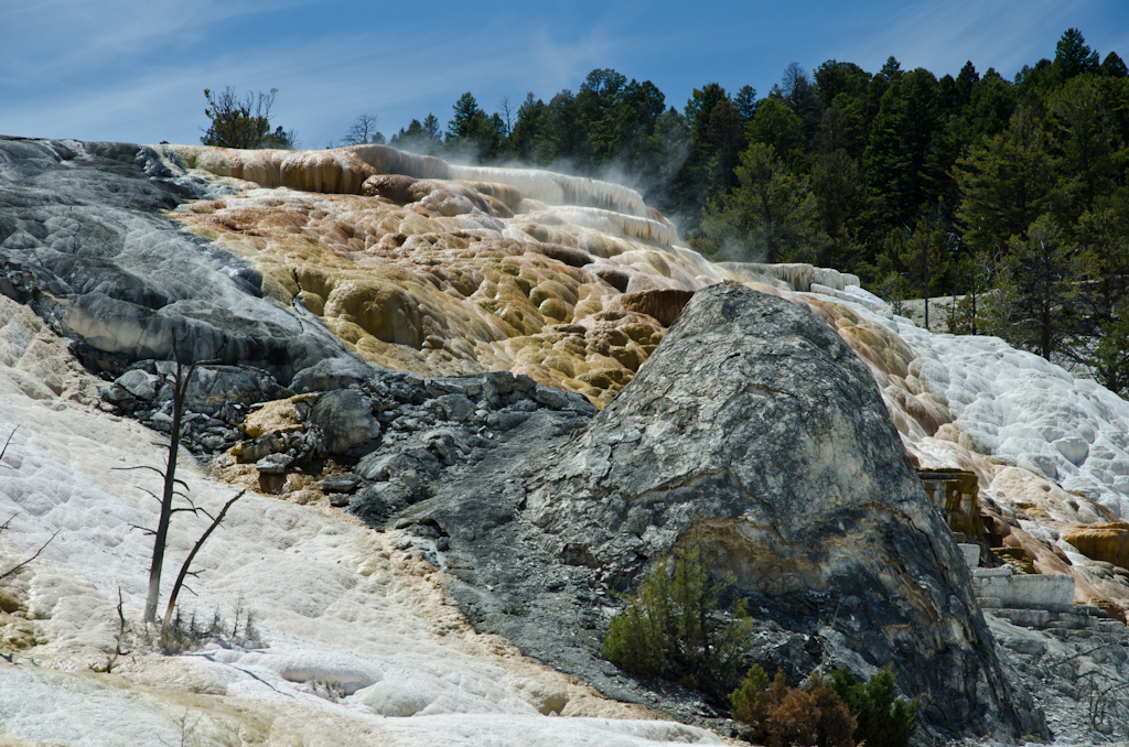 120614-210836-DSC_3878.jpg - Mammoth Hotsprings Lower terrace.Yellowstone National Park14-6-2012