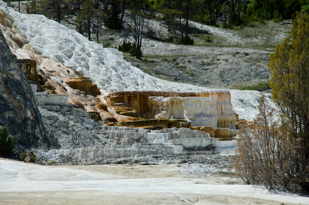 120614-210840-DSC_3880.jpg - Mammoth Hotsprings Lower terrace.Yellowstone National Park14-6-2012