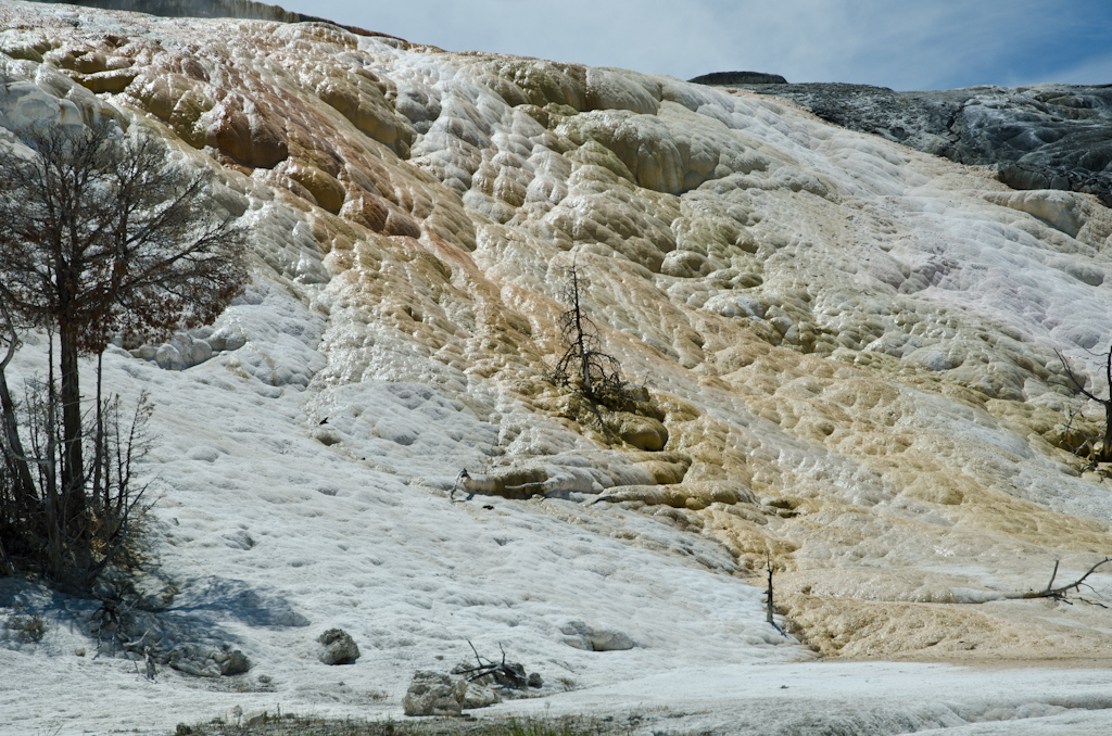 120614-210844-DSC_3881.jpg - Mammoth Hotsprings Lower terrace.Yellowstone National Park14-6-2012