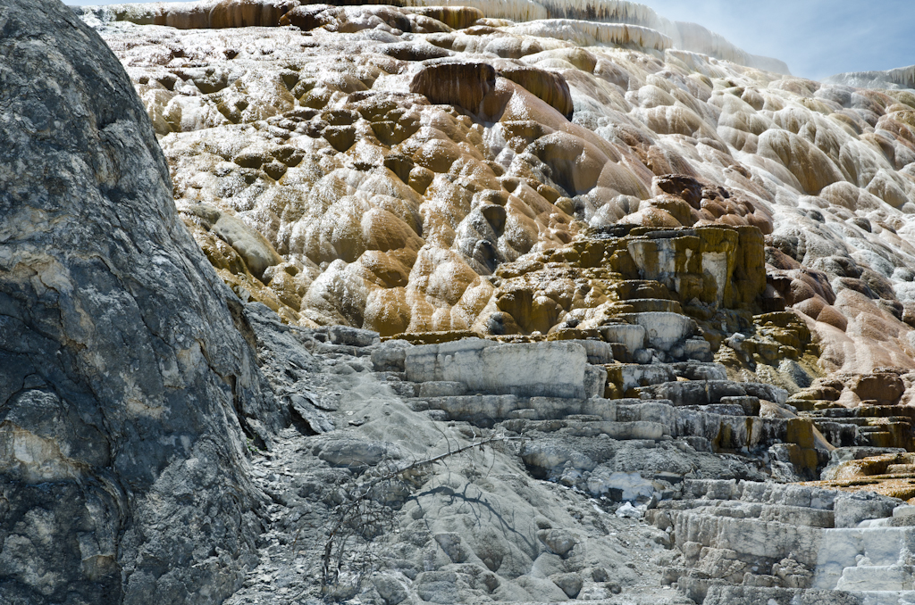 120614-210958-DSC_3884.jpg - Mammoth Hotsprings Lower terrace.Yellowstone National Park14-6-2012