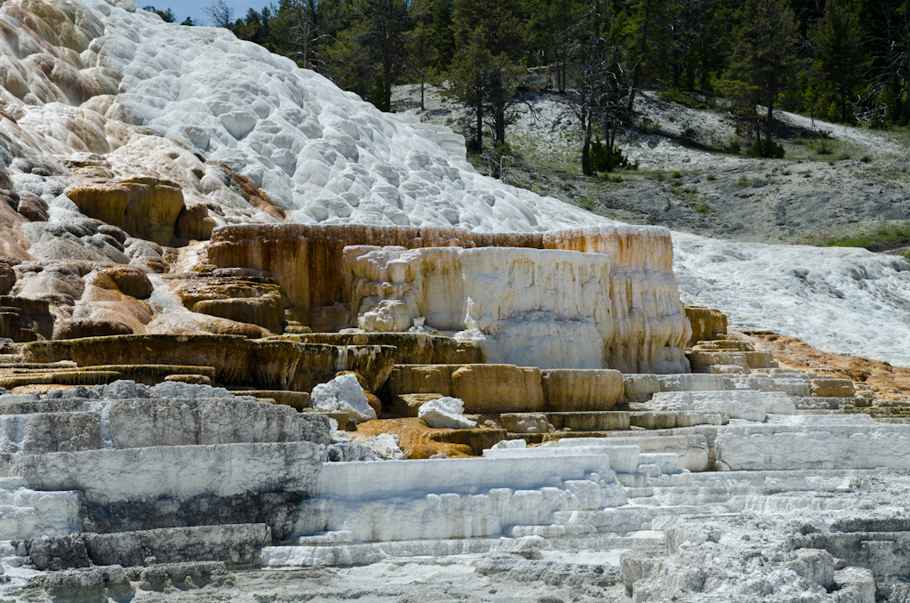 120614-211004-DSC_3885.jpg - Mammoth Hotsprings Lower terrace.Yellowstone National Park14-6-2012