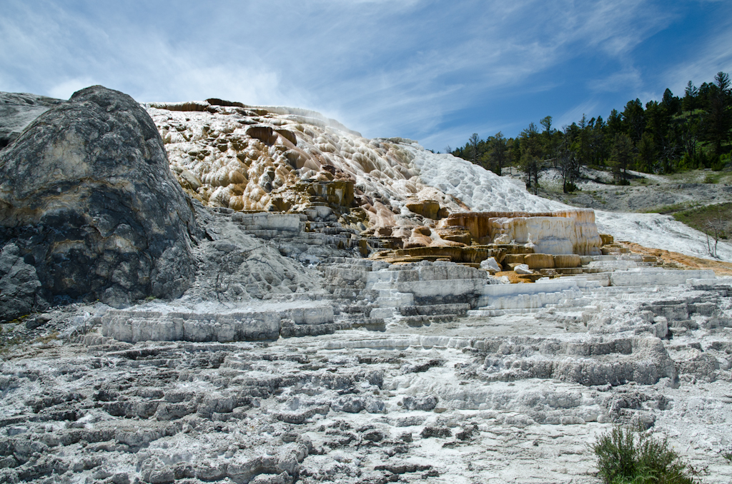 120614-211008-DSC_3886.jpg - Mammoth Hotsprings Lower terrace.Yellowstone National Park14-6-2012