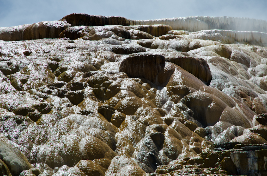 120614-211018-DSC_3887.jpg - Mammoth Hotsprings Lower terrace.Yellowstone National Park14-6-2012