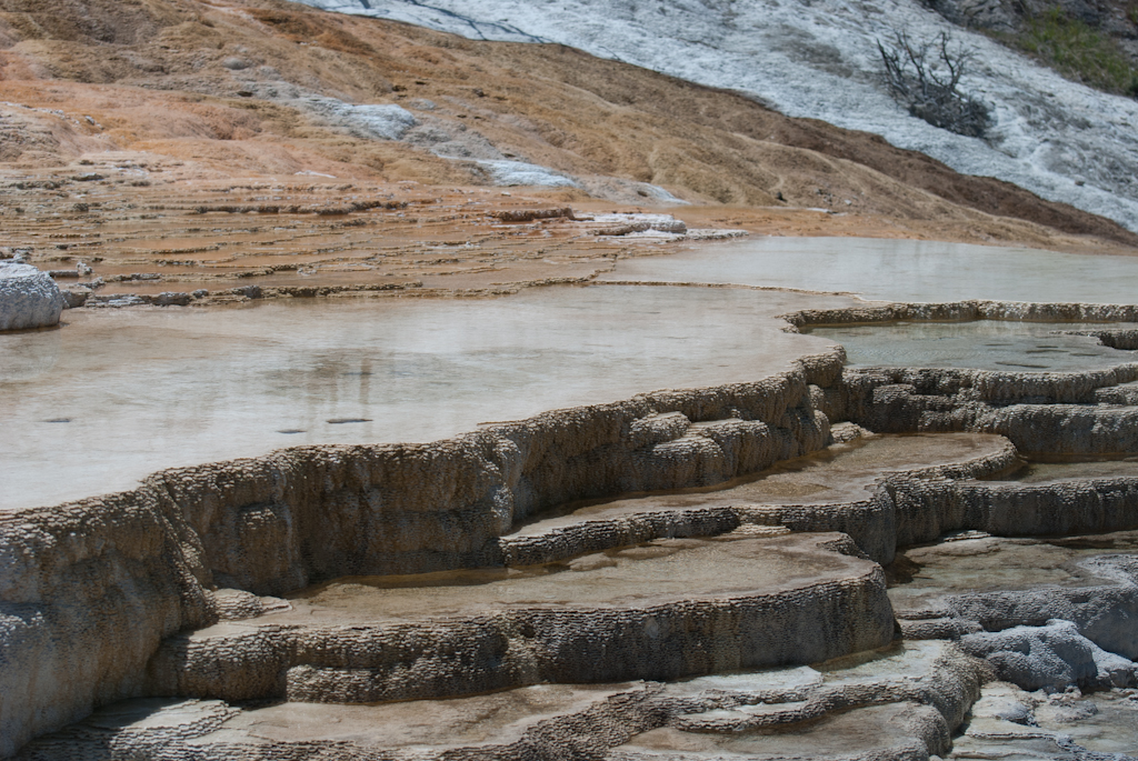 120614-211211-DSC_0695.jpg - Mammoth Hotsprings Lower terrace.Yellowstone National Park14-6-2012