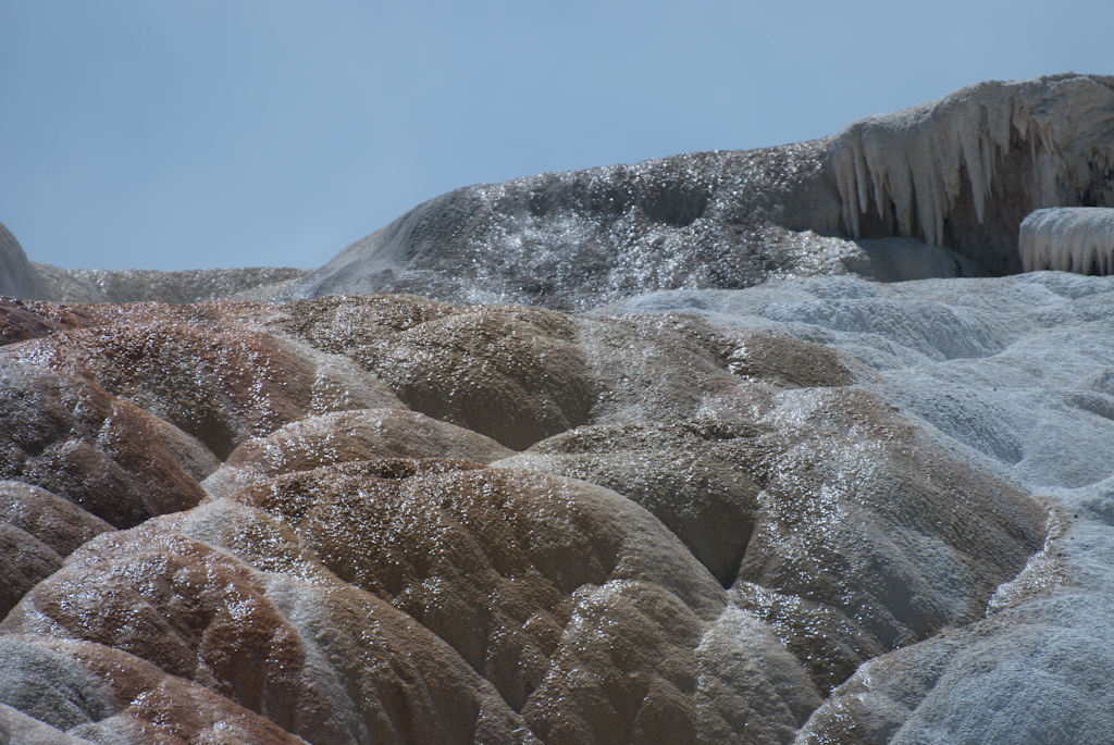 120614-211221-DSC_0699.jpg - Mammoth Hotsprings Lower terrace.Yellowstone National Park14-6-2012