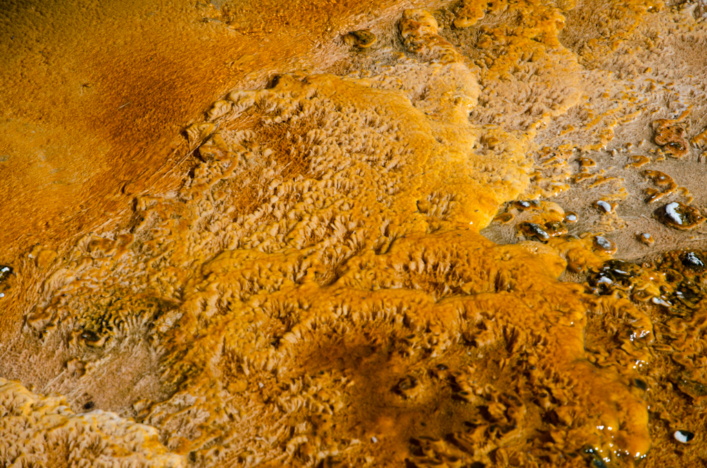 120615-005540-DSC_4001.jpg - Lower Geyser BasinYellowstone National Park14-6-2012