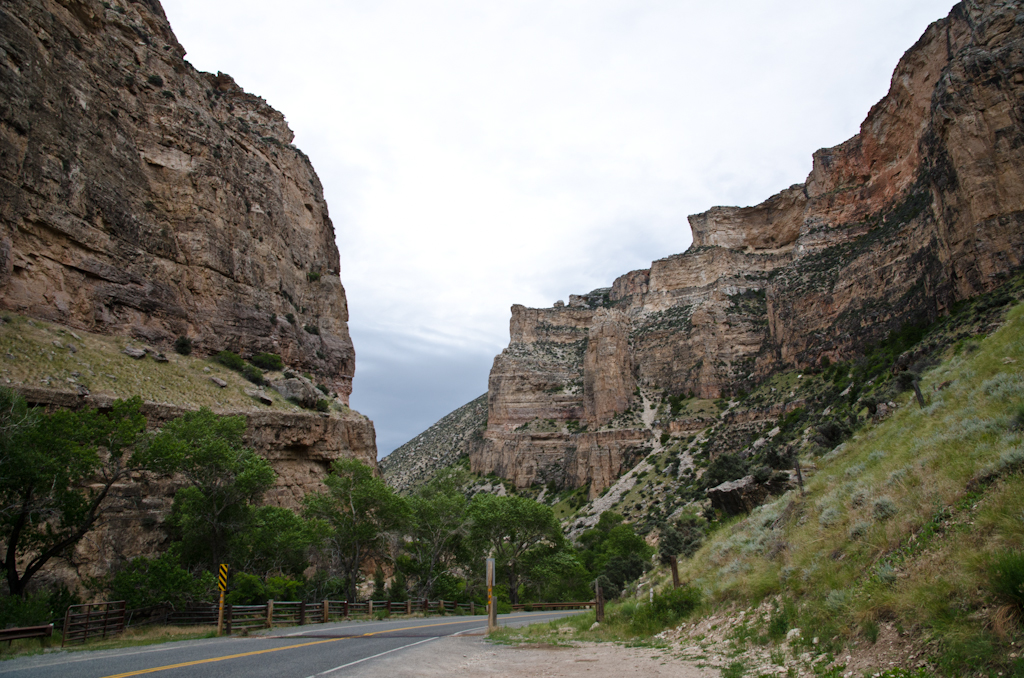 120615-223554-DSC_4277.jpg - Bighorn National Forest.15-6-2012