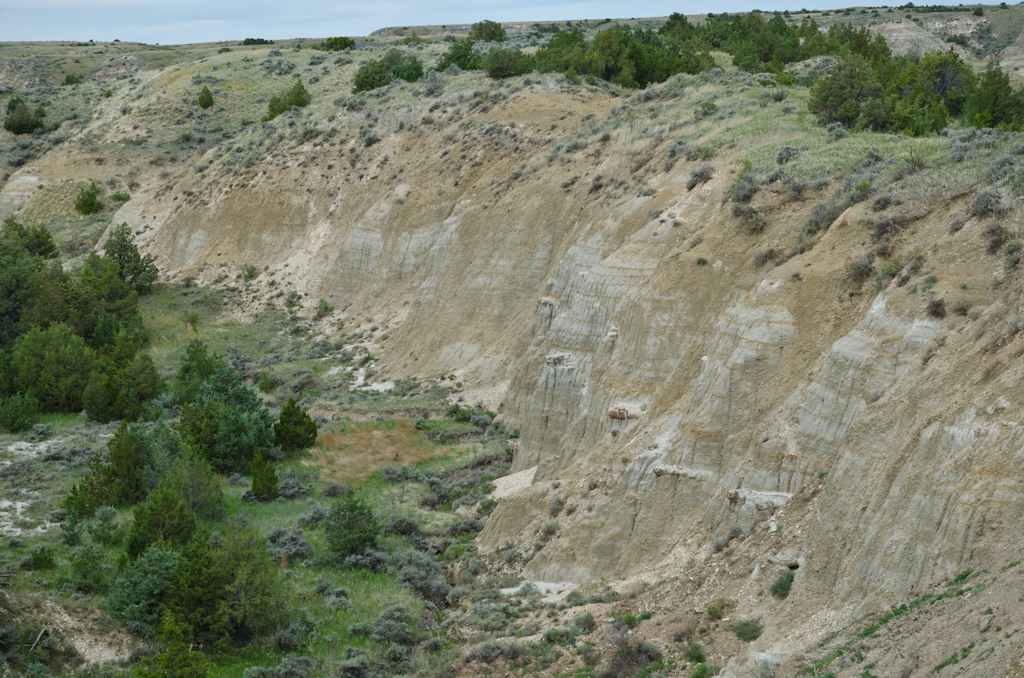 120617-180158-DSC_4471.jpg - Theodore Roosevelt National ParkNorth Dakota17-6-2012