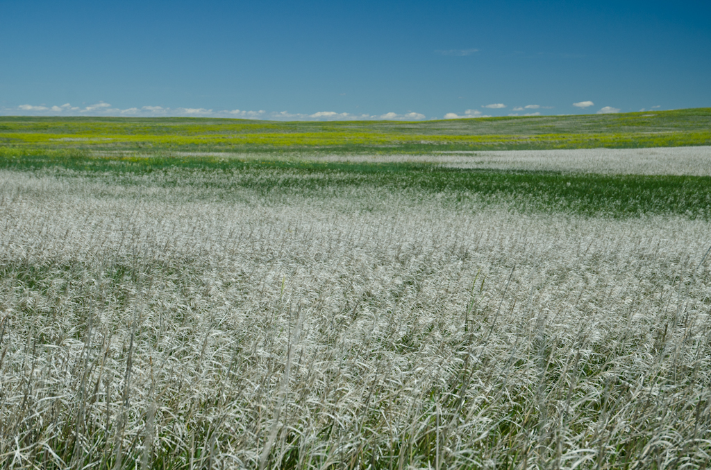 120621-194253-DSC_5197.jpg - Badland National Park21-6-2012