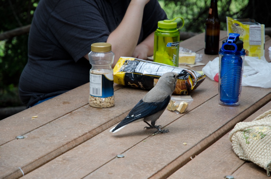 120624-194602-DSC_5992.jpg - Ik eet altijd aan tafel