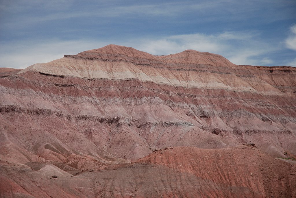 Project_20100603_0099.JPG - Painted DesertOp weg naar Canyon de Chelly