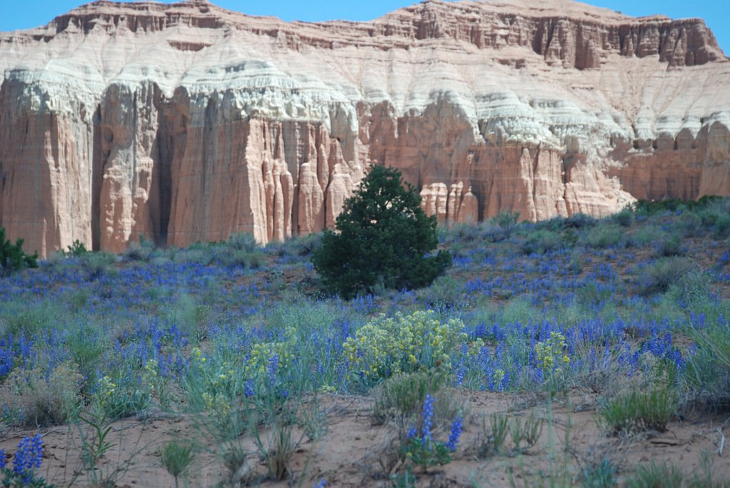 Project_20100606_0236.JPG - Cathedral Valley RoadBlauw