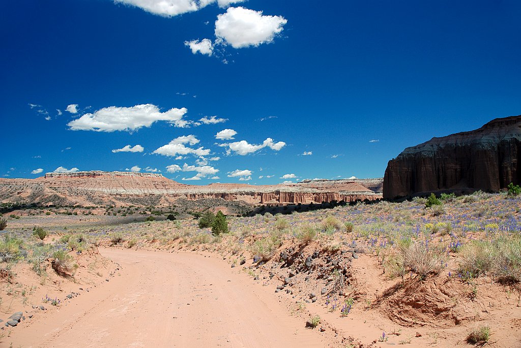 Project_20100606_0237.JPG - Cathedral Valley Road