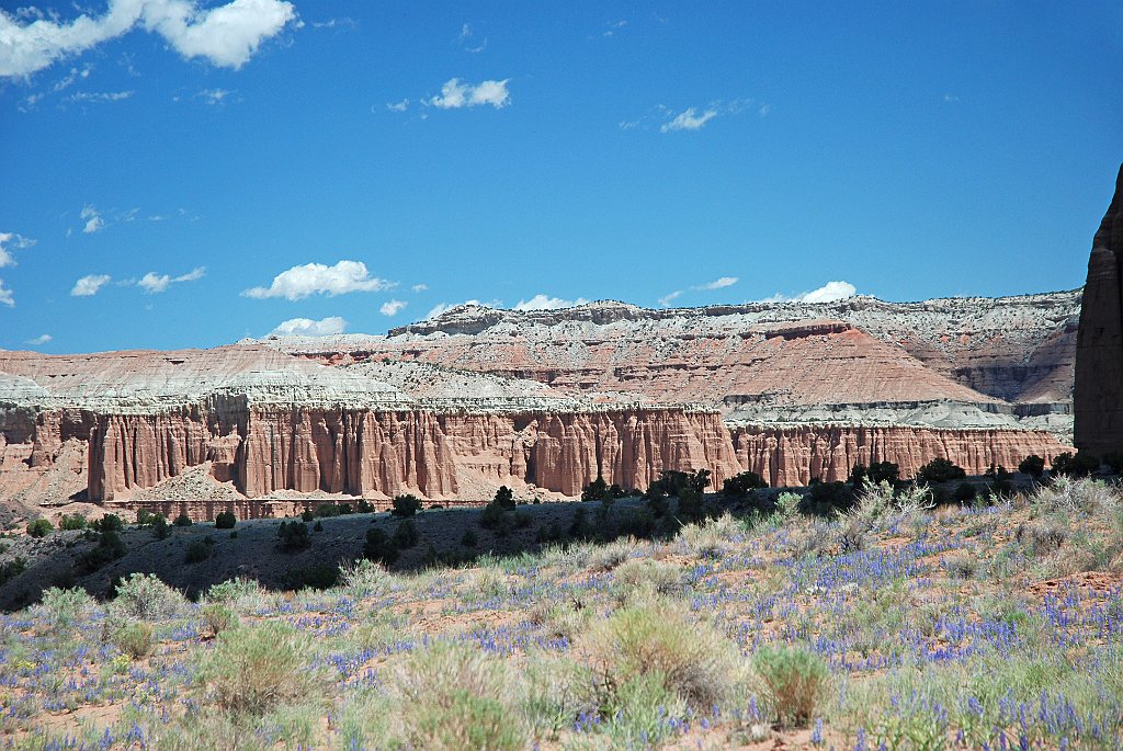 Project_20100606_0238.JPG - Cathedral Valley Road