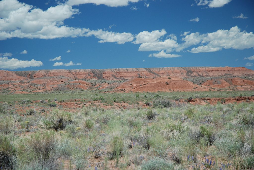 Project_20100606_0245.JPG - Cathedral Valley Road