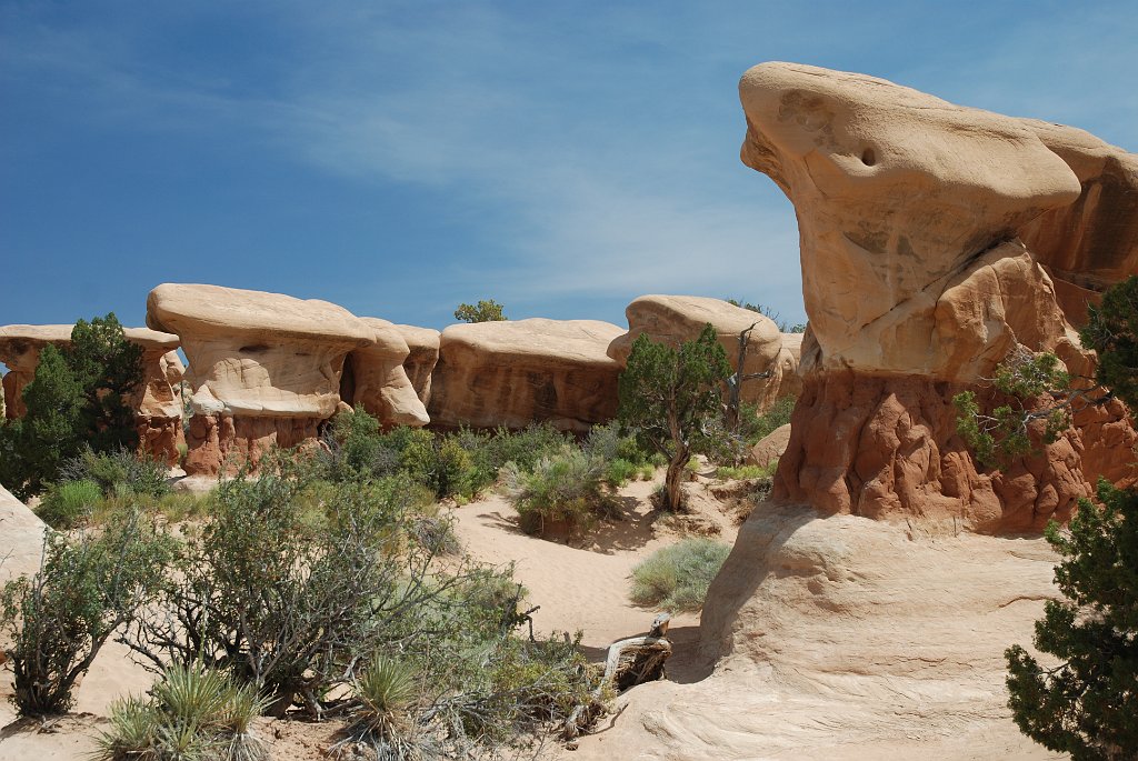 Project_20100607_0277.JPG - Devils Garden