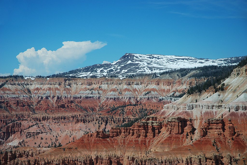 Project_20100607_0289.JPG - Cedar Breaks NM