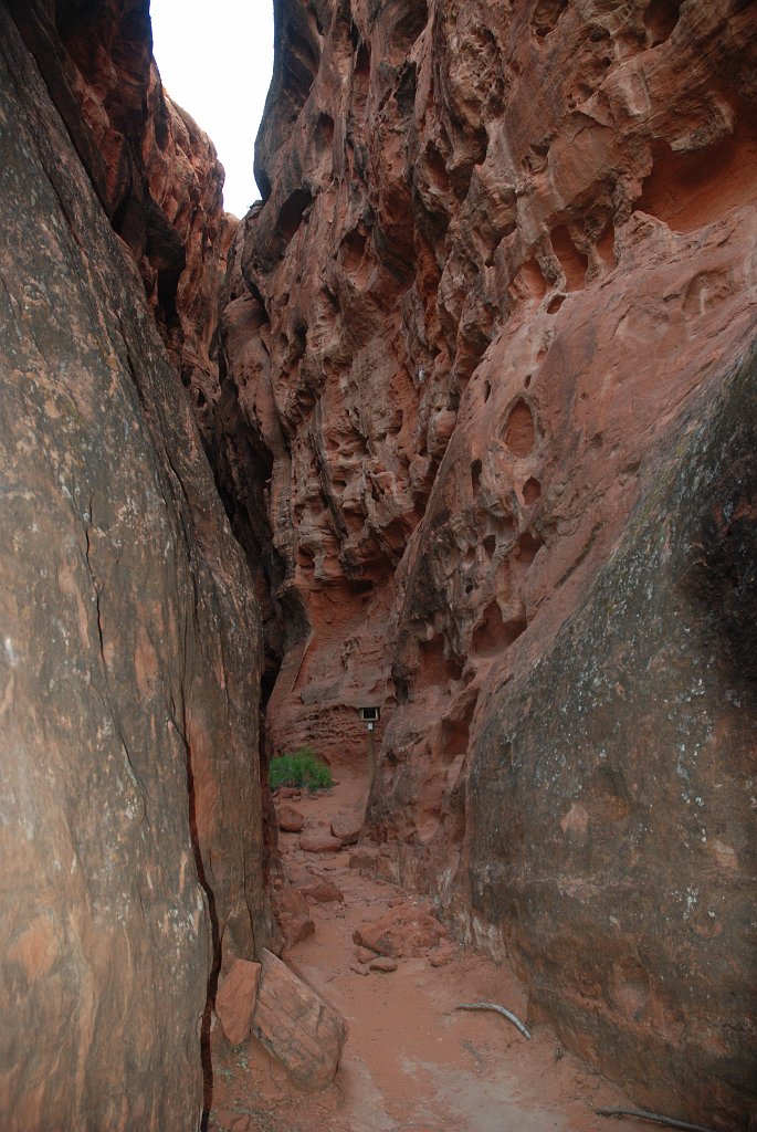 Project_20100608_0298.JPG - Snowcanyon (Jenny's Canyon)