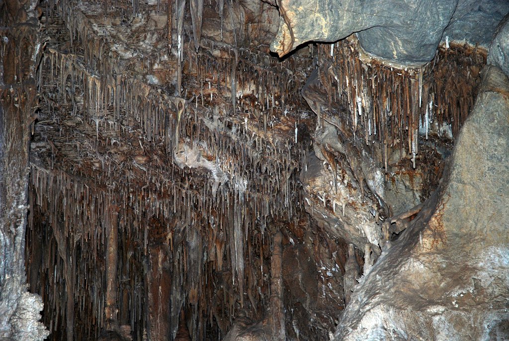 Project_20100609_0333.JPG - Lehman Caves Great Basin NP