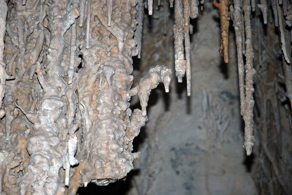 Project_20100609_0337.JPG - Lehman Caves Great Basin NPZoek het zeepaardje