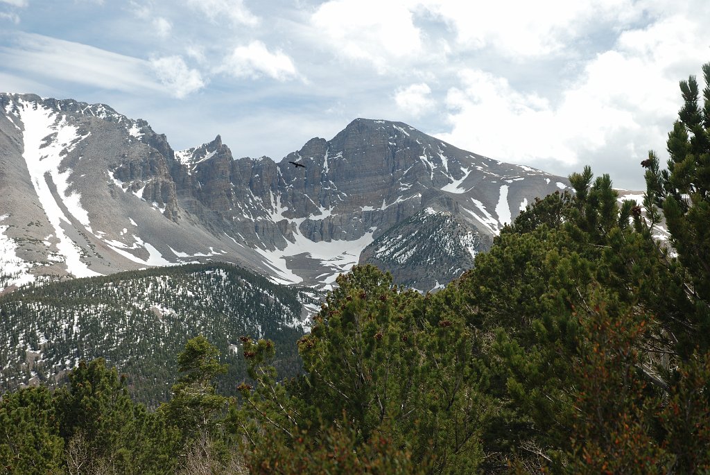 Project_20100609_0347.JPG - Great Basin NP Wheelerpeak