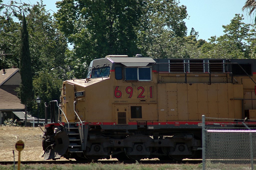 Project_20100611_0434.JPG - RosevilleUP western yard