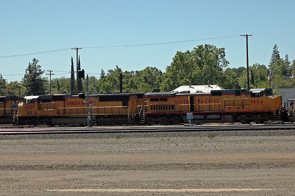 Project_20100611_0436.JPG - RosevilleUP western yard