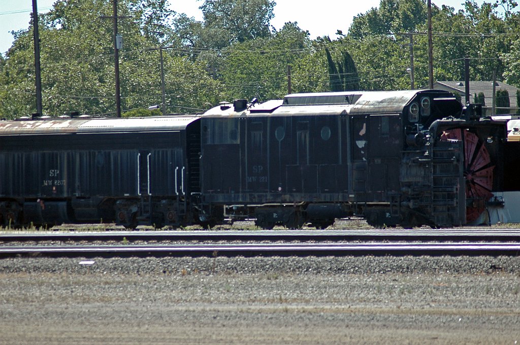 Project_20100611_0437.JPG - RosevilleUP western yard