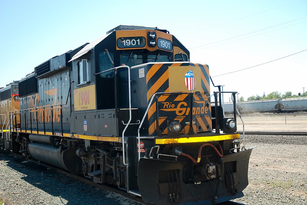 Project_20100611_0439.JPG - RosevilleUP western yard