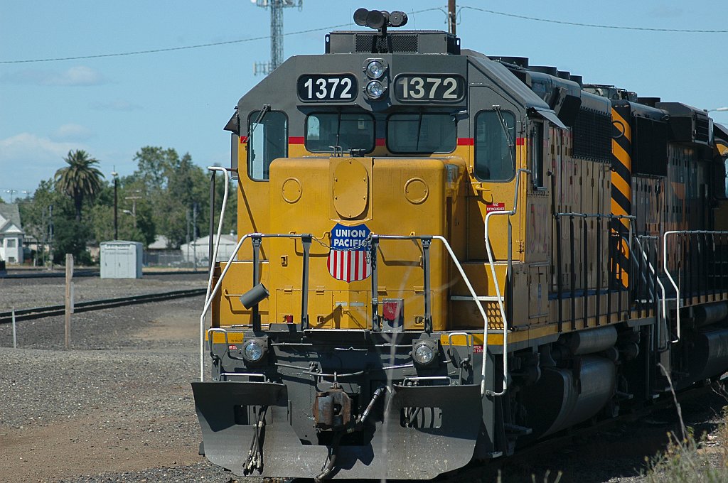 Project_20100611_0440.JPG - RosevilleUP western yard